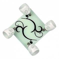 Спот OM-223 OML-22302-04 Omnilux