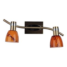 Спот OM-220 OML-22001-02 Omnilux