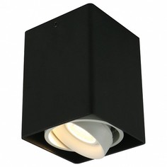 Накладной светильник 5655 A5655PL-1BK Arte Lamp