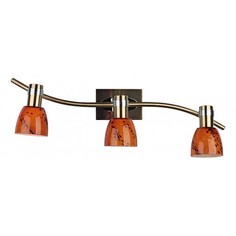 Спот OM-220 OML-22001-03 Omnilux