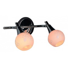 Спот OM-215 OML-21501-02 Omnilux