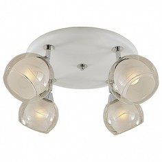 Потолочная люстра Самба CL158141 Citilux