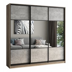 Шкаф-купе Бавария Лофт 240