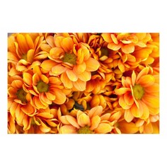Картина (90х60 см) Оранжевые цветы HE-101-893 Ekoramka