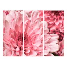 Набор из 3 картин (90х50 см) Розовые цветы HE-107-170 Ekoramka