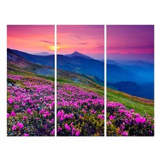 Набор из 3 картин (90х50 см) Горы и цветы HE-107-202 Ekoramka