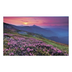 Картина (50х30 см) Горы и цветы SE-102-231 Ekoramka