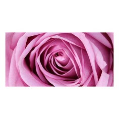 Картина (120х60 см) Розовая роза HE-102-155 Ekoramka