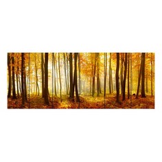 Картина (90х60 см) Лес осень DE-104-401 Ekoramka