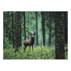 Картина (120х80 см) Олень в лесу DE-104-387 Ekoramka