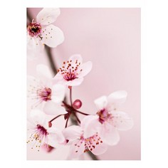 Картина (30х40 см) Ветка сакуры на розовом фоне HE-101-561 Ekoramka