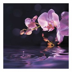 Картина (30х30 см) Розовая орхидея SE-102-274 Ekoramka