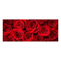 Картина (50х20 см) Алые розы HE-101-540 Ekoramka