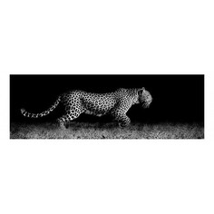 Картина (120х40 см) Леопард ночью HE-102-126 Ekoramka