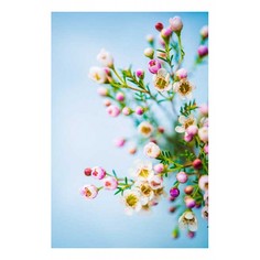 Картина (40х60 см) Нежные цветы HE-101-602 Ekoramka