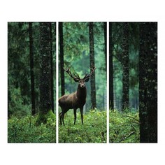 Набор из 3 картин (90х70 см) Олень в лесу ME-109-136 Ekoramka