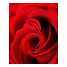 Картина (40х50 см) Бутон красной розы HE-101-547 Ekoramka