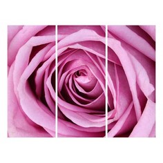 Набор из 3 картин (90х90 см) Розовая роза HE-107-211 Ekoramka