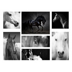 Набор из 7 картин (110х80 см) Лошади HE-110-110 Ekoramka