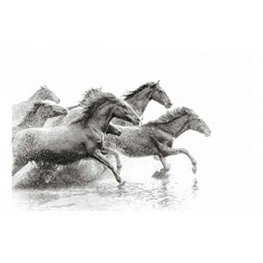 Картина (90х60 см) Кони бегущие по воде HE-101-906 Ekoramka