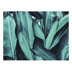 Картина (40х30 см) Тропические листья SE-102-181 Ekoramka
