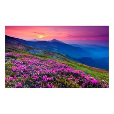 Картина (50х30 см) Горы и цветы HE-101-719 Ekoramka