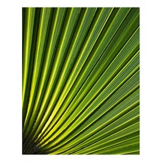 Картина (40х50 см) Зеленый лист HE-101-592 Ekoramka