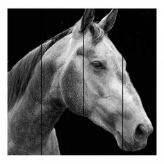 Картина (90х90 см) Конь на черном DE-104-204 Ekoramka