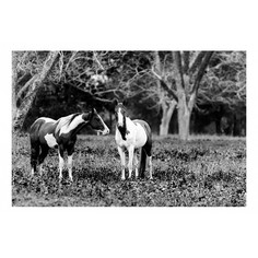 Картина (60х40 см) Две лошади в саду HE-101-803 Ekoramka