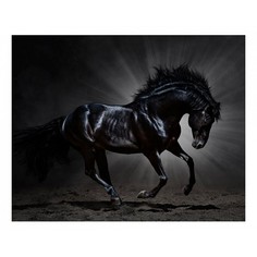 Картина (50х40 см) Черный конь HE-101-524 Ekoramka