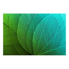 Картина (60х40 см) Тонкие зеленые листья HE-101-761 Ekoramka