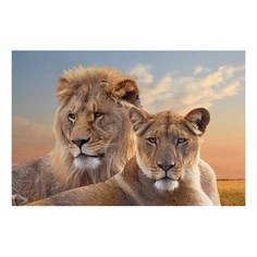 Картина (90х60 см) Лев и львица HE-101-908 Ekoramka