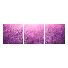 Набор из 3 картин (90х30 см) Лаванда панорама HE-107-266 Ekoramka