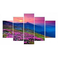 Набор из 5 картин (100х70 см) Горы и цветы HE-107-240 Ekoramka
