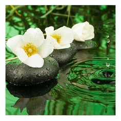 Картина (40х40 см) Белые цветы HE-101-926 Ekoramka