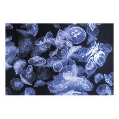 Картина (30х20 см) Синие медузы SE-102-170 Ekoramka