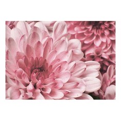 Картина (70х50 см) Розовые цветы SE-102-256 Ekoramka