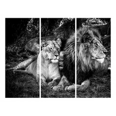 Набор из 3 картин (60х50 см) Лев и львица ME-109-147 Ekoramka