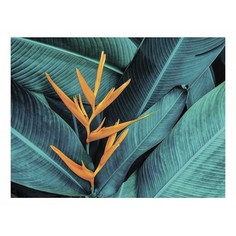 Картина (40х30 см) Тропический цветок SE-102-182 Ekoramka