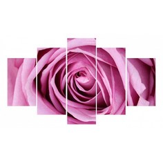 Набор из 5 картин (100х70 см) Розовая роза HE-107-246 Ekoramka