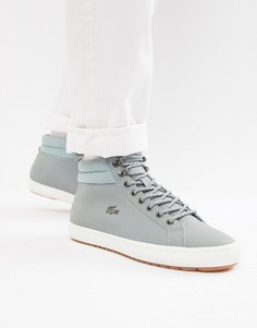 Серые ботинки чукка Lacoste Straightset C 318 1 - Серый