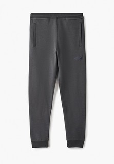 Брюки спортивные The North Face Y FLEECE PANT