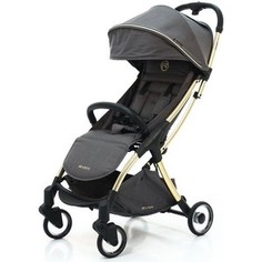 Коляска прогулочная RYAN PRIME Light Rich Gray GOLD Special Edition