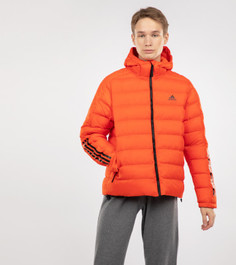 Куртка утепленная мужская Adidas Itavic 3-Stripes 2.0