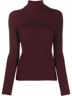 3.1 Phillip Lim водолазка в рубчик