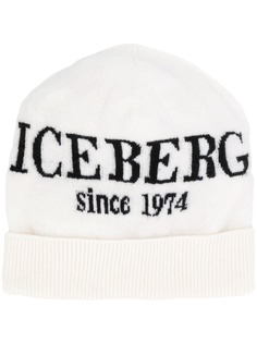 Iceberg knitted beanie hat