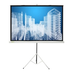 Экран Cactus Triscreen CS-PST-104x186, 186х104.4 см, 16:9, напольный черный