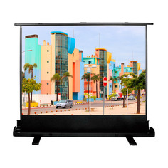 Экран Cactus FloorExpert CS-PSFLE-160X120, 160х120 см, 4:3, напольный