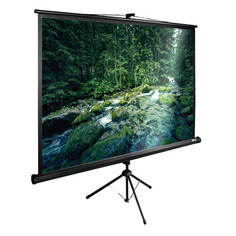 Экран Cactus TriExpert CS-PSTE-220x165-BK, 220х165 см, 4:3, напольный черный