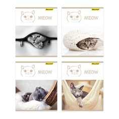 Упаковка тетрадей SILWERHOF Ку-ку! 811503-55, A5, 48лист, 4 дизайна, клетка, картон, скрепка 10 шт./кор.